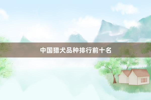 中国猎犬品种排行前十名