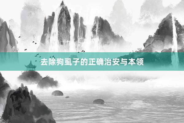 去除狗虱子的正确治安与本领